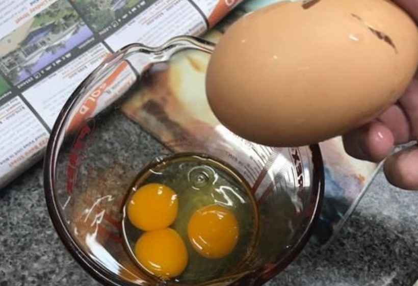 редкое куриное яйцо