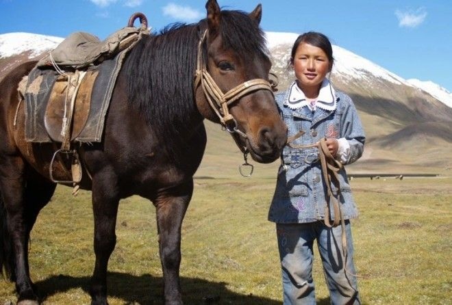 Подборка интересных фактов о таинственной Монголии