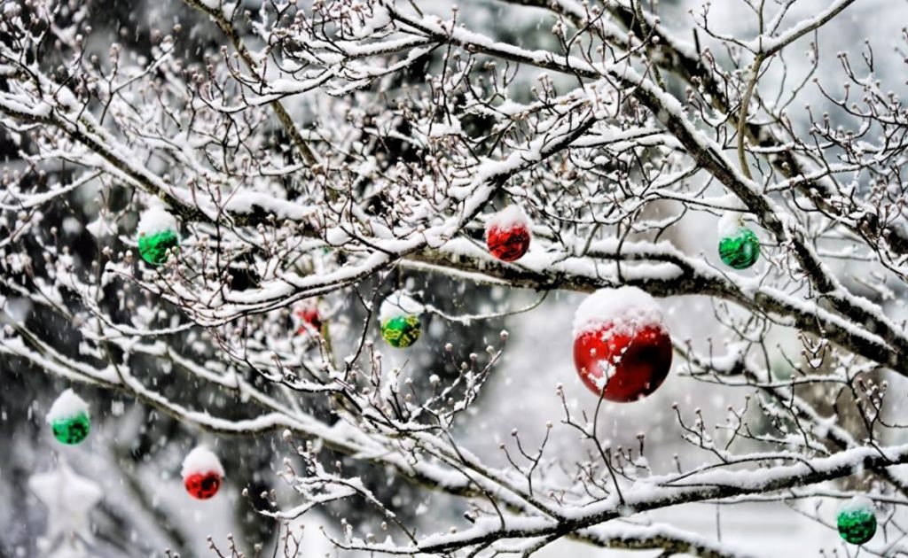 Погода на Новый год: синоптики рассказали, ждать ли снега