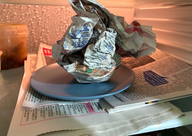 Зачем хозяйки кладут в холодильник мокрые газеты