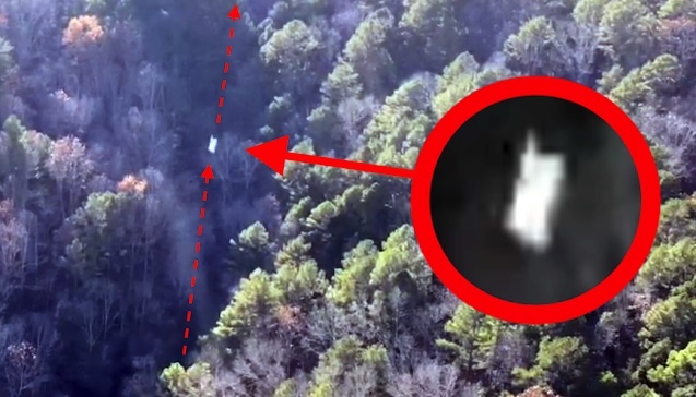 Беспилотник заснял НЛО, который вылетал из леса