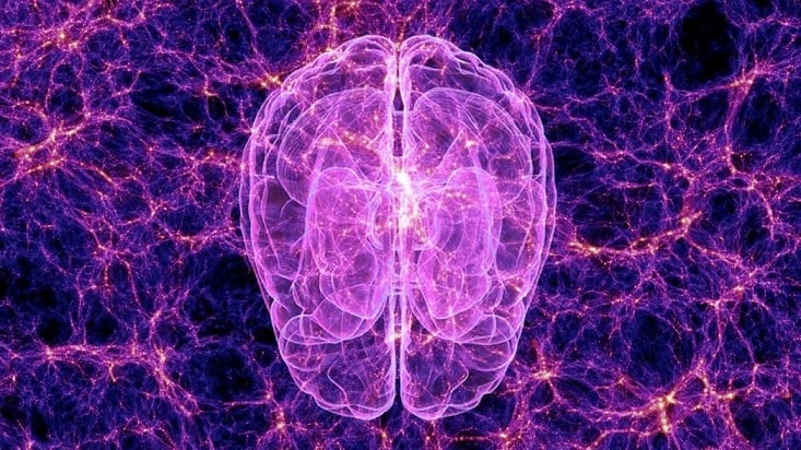 Ученые нашли сходство между головным мозгом и Вселенной