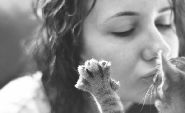 Названы основные причины, по которым нельзя целовать кошек
