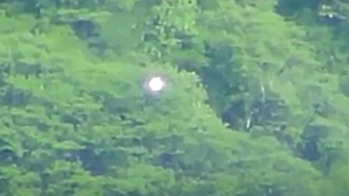В Мексике над лесом видели странный светящийся шар