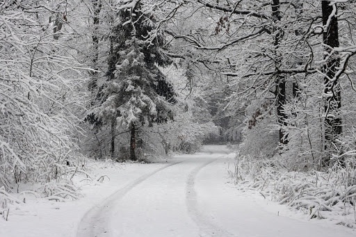 Аномальный декабрь: синоптики спрогнозировали неустойчивую погоду на месяц