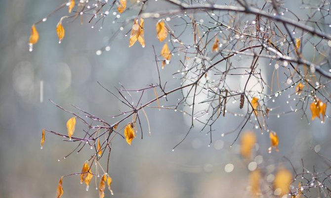 Погода на неделю: надвигаются мокрый снег и дожди