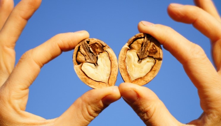 Почему стоит добавлять в рацион грецкие орехи: 10 причин