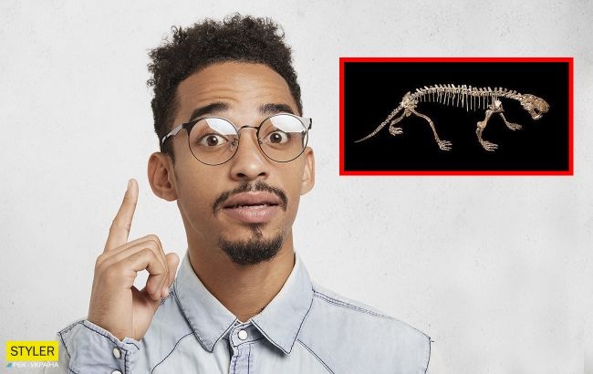 Как выглядели хищники, жившие 250 млн лет назад: образ древних зверей