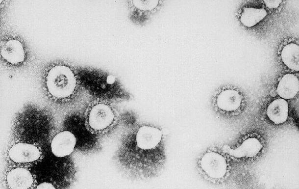 Заразный коронавирус-мутант выходит из-под контроля: ученые призывают не паниковать