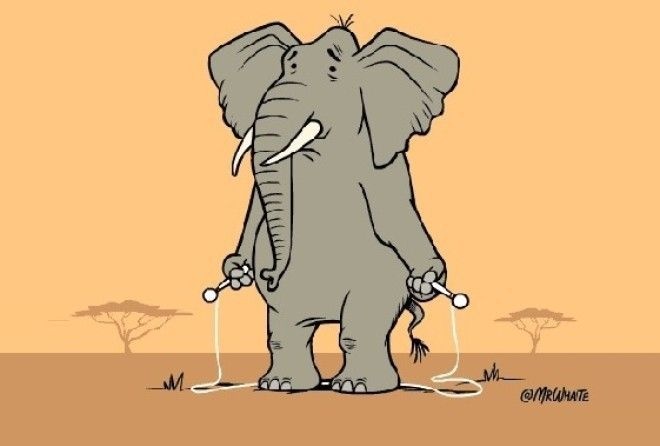 Почему слоны не прыгают – ответ ученых