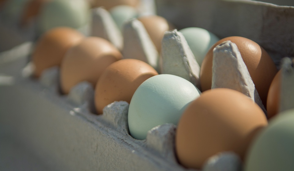 Экономисты прогнозируют подорожание яиц после праздников
