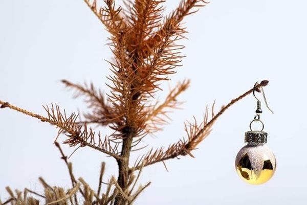 Когда нужно убирать новогоднюю елку: здравый смысл и приметы