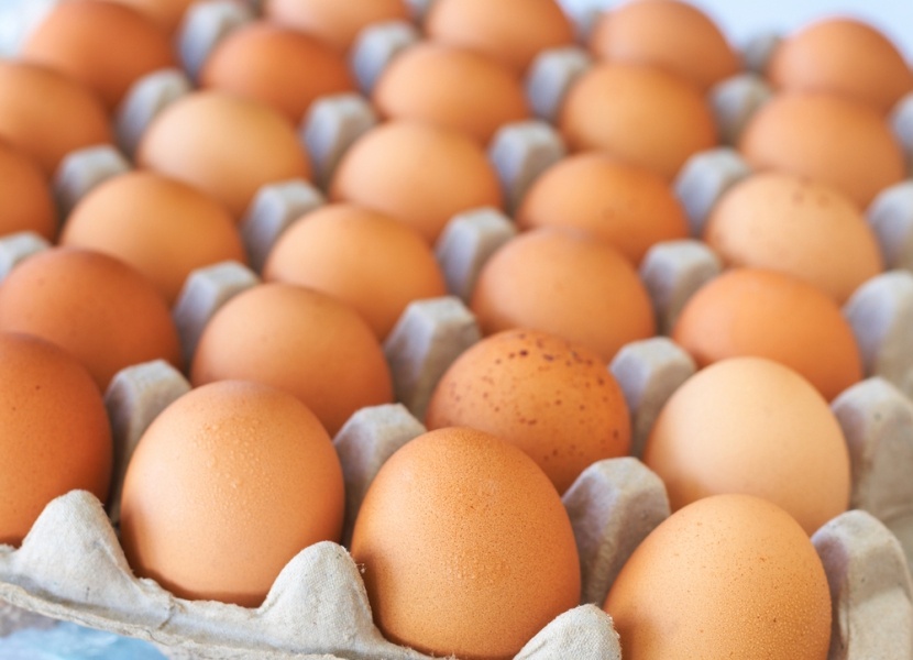 Стоимость яиц может вырасти в январе