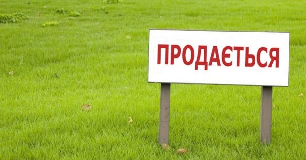 Украинский рынок земли  выведут из тени: сколько будут стоить гектар