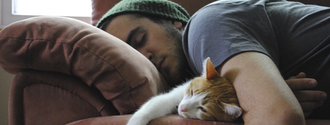 Почему коты любят спать на человеке: специалисты дали ответ