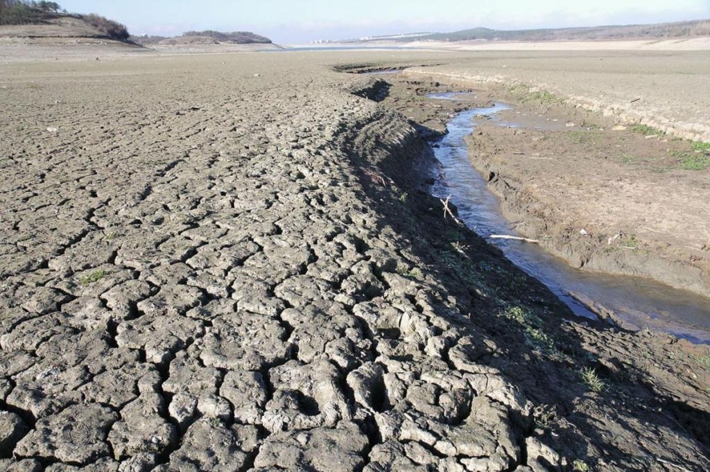 Засуха в Крыму: 2021 год тоже будет почти без осадков