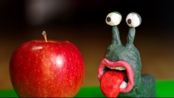 Ученые выяснили, какая часть яблока самая полезная