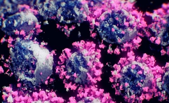 Коронавирус в 3D-виде: ученые впервые показали эффектную заразу