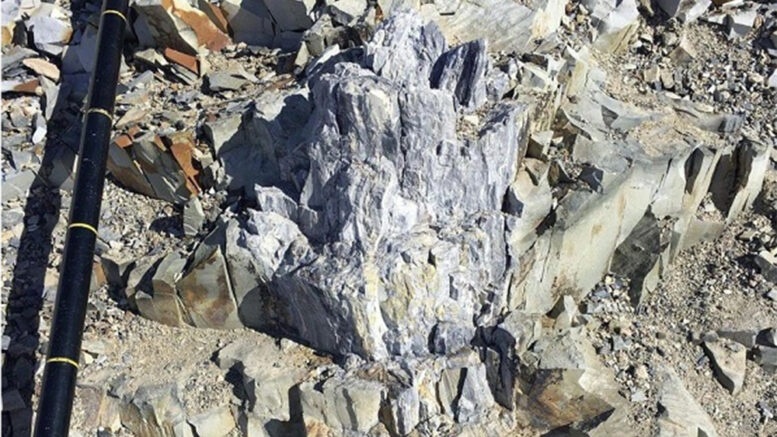 В Антарктиде обнаружили пень, которому уже 280 миллионов лет