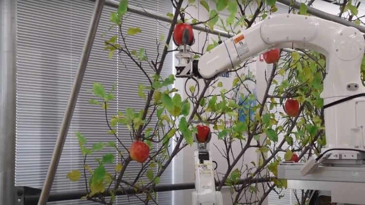 В Японии создали робота, который поможет фермерам собирать яблоки и груши