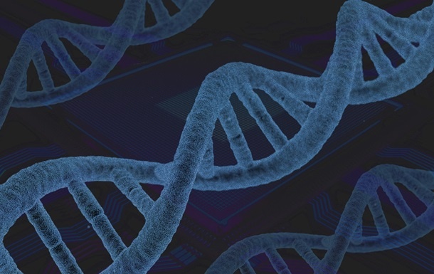 В геноме человека обнаружили несколько сотен неизвестных ранее генов