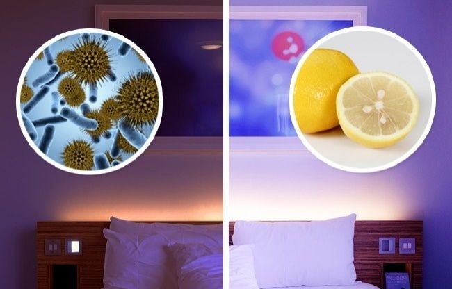 Почему полезно для здоровья держать в спальной комнате лимон