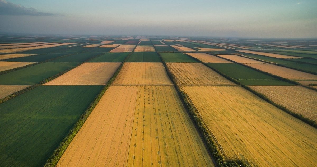 В правительстве назвали цены на землю в Украине
