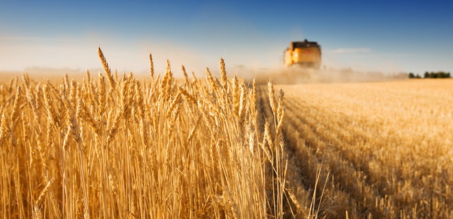В Минэкономики спрогнозировали резкое падение экспорта зерновых