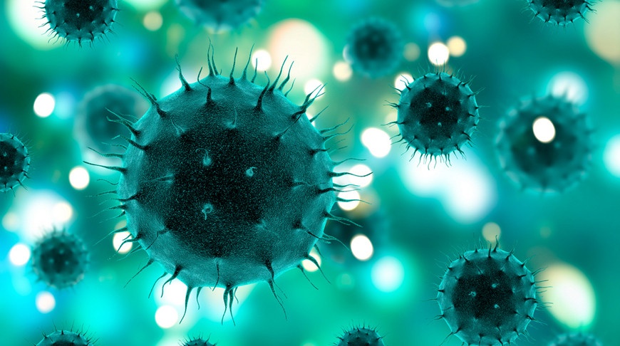 Ученые обнаружили в кишечнике человека около 140 тысяч видов вирусов