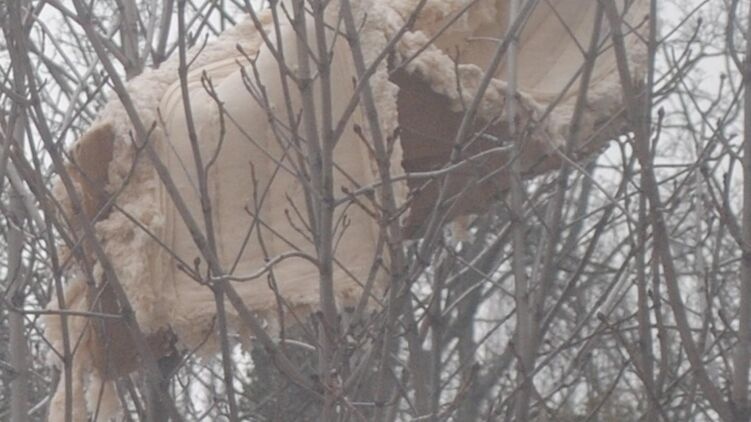 В Киеве из окна многоэтажки выбросили диван, но он застрял на дереве