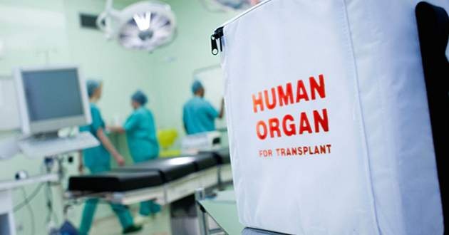 Украинцы распродают себя "на органы": откуда ажиотаж и как устроена трансплантология
