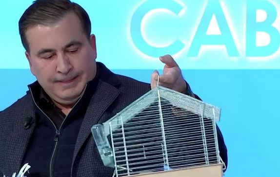 Саакашвили принес крысу на эфир, грызун заснул