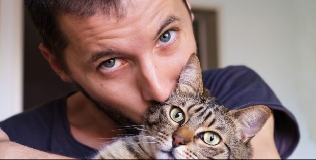 Почему у каждого мужчины должна жить кошка – ученые дали ответ