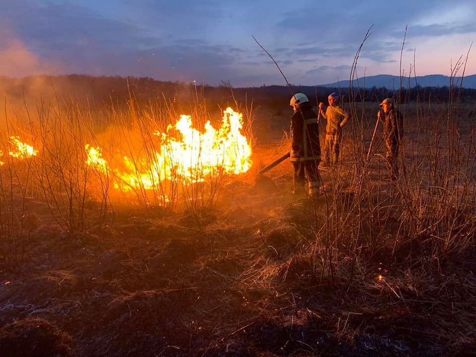 На Закарпатье пожар охватил заповедник "Долина нарциссов"