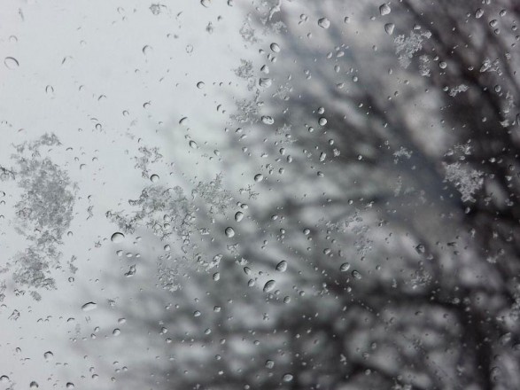 Местами дождь и мокрый снег: прогноз погоды по Украине на среду