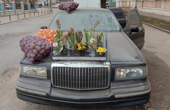 В Черновцах картошку и лук продают из лимузина