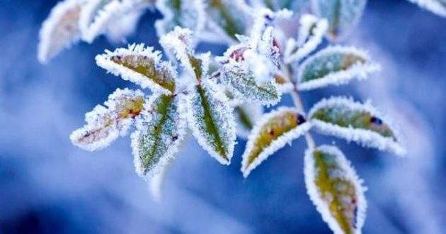 В Украину вернутся снег и морозы: названа дата похолодания