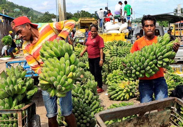 Бананы под угрозой: самый популярный фрукт на планете столкнулся с болезнью