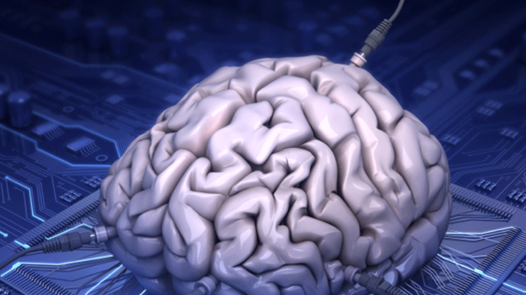 Ученые для исследования COVID напечатали экспериментальный мозг