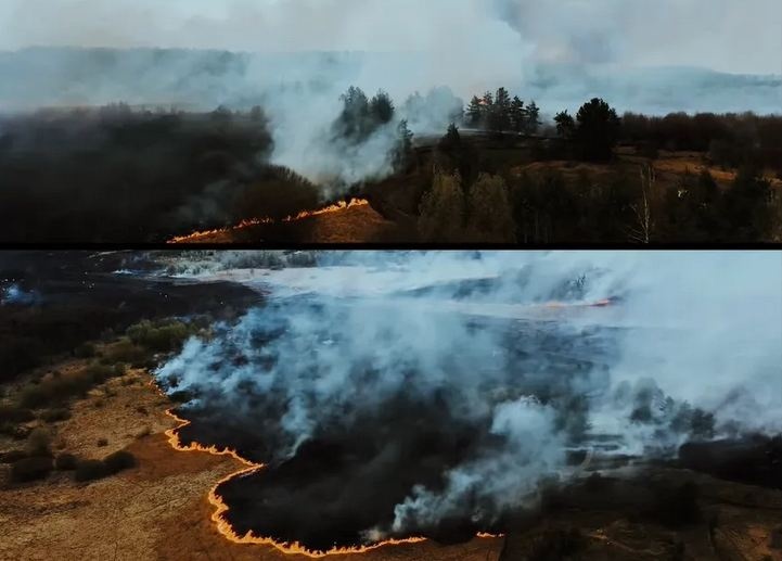Поджоги травы: спасатели показали последствия на Киевщине
