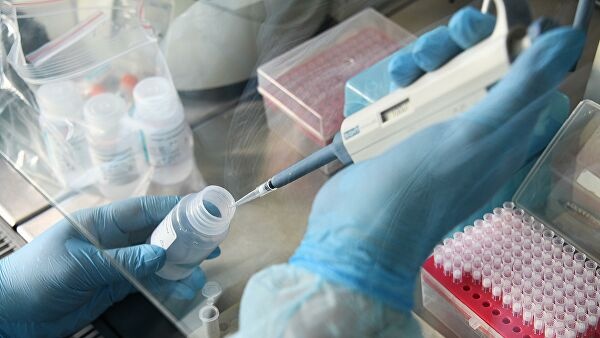 В тестах на антитела на COVID нет смысла: инфекционист объяснила, почему
