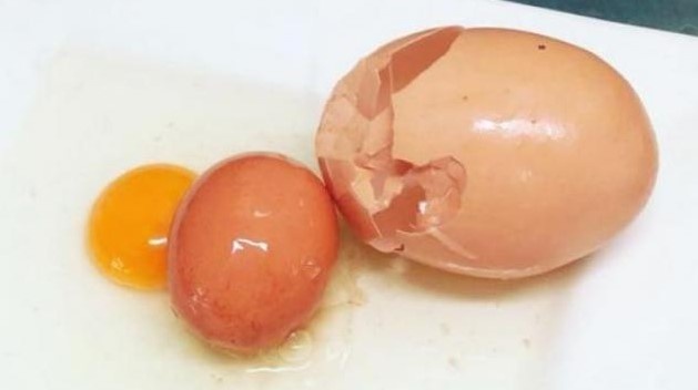 Курица стала знаменитой благодаря аномальному яйцу-матрешке