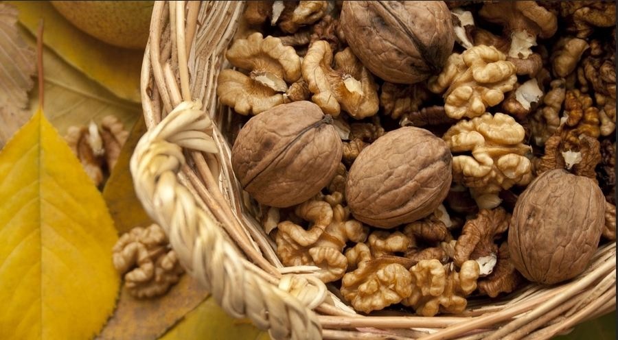 Сколько орехов можно съедать в день и не навредить здоровью: мнение диетолога