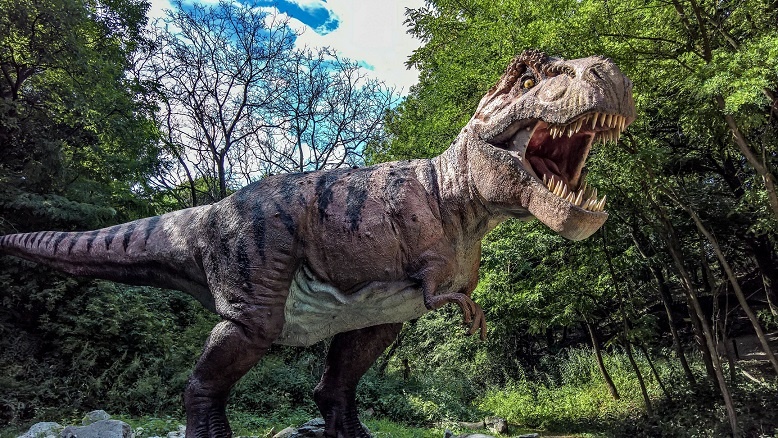 Сколько тираннозавров населяло Землю в древности – ответ ученых