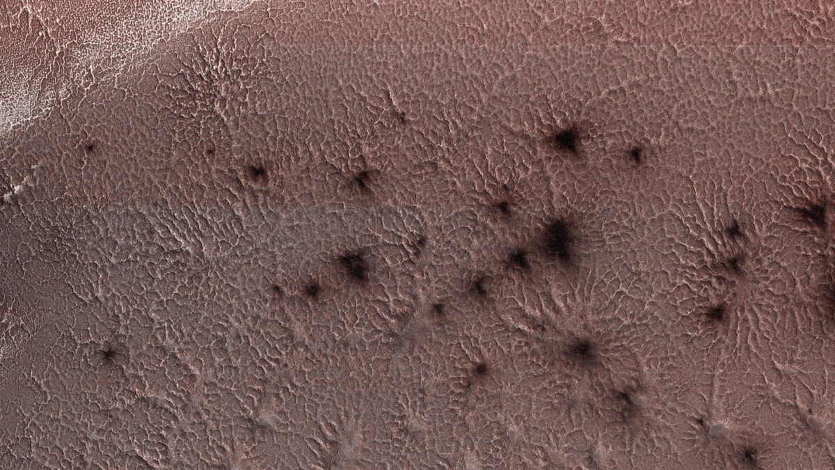 гигантские "пауки" с Марса