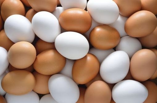 Украинцам подсказали, где лучше покупать яйца