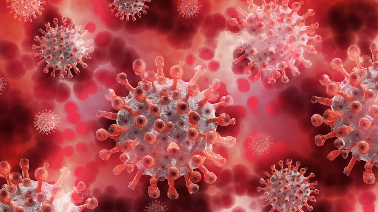 В Украине обнаружили ранее неопознанный штамм коронавируса