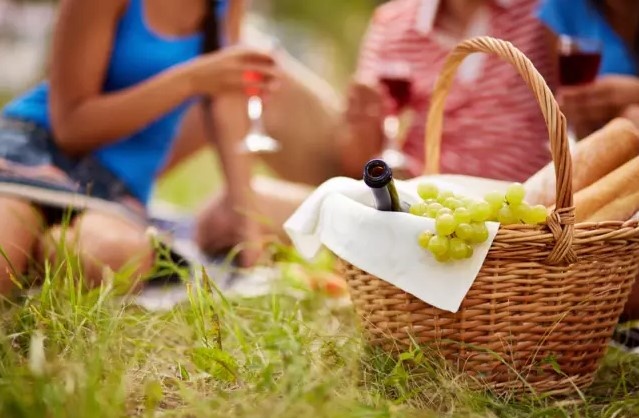 Что взять с собой на пикник: перечень самых важных вещей
