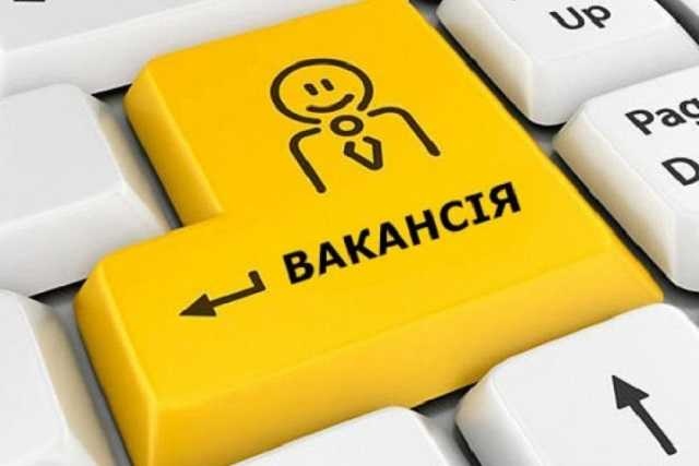 Названы самые востребованные профессии в Украине на сегодня