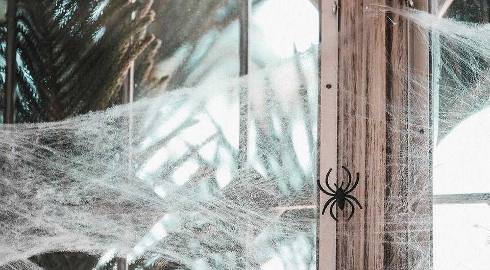 Заговоры, помогающие избавиться от пауков в доме